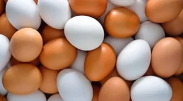 أسعار البيض في كفر الشيخ تتراجع اليوم السبت.. الأحمر يسجل 5.5 جنيه